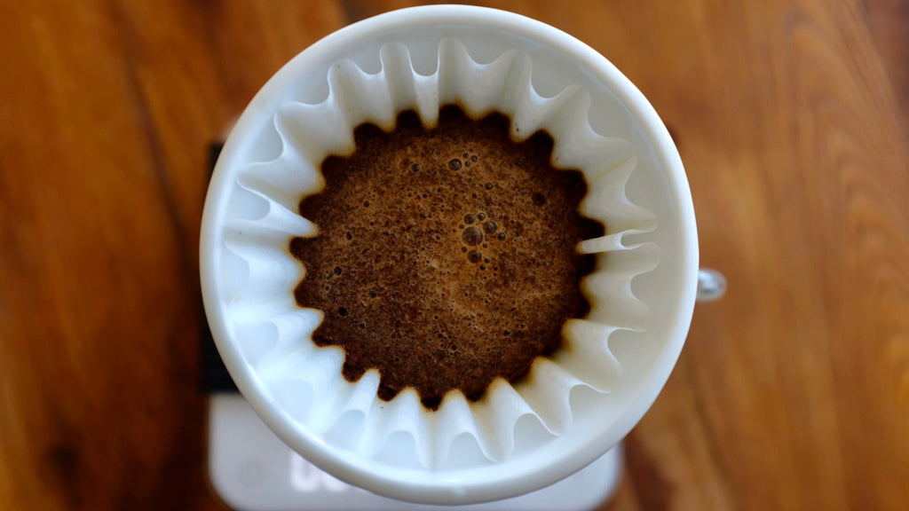 How to Bloom Your Coffee